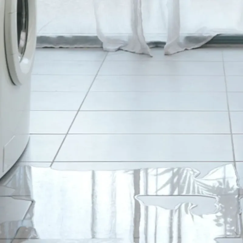 Appliance Leak Cleanup in Robins, IA