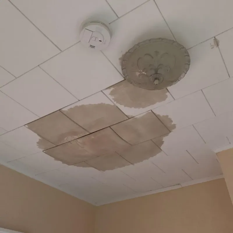 Ceiling Water Damage Repair in Robins, IA