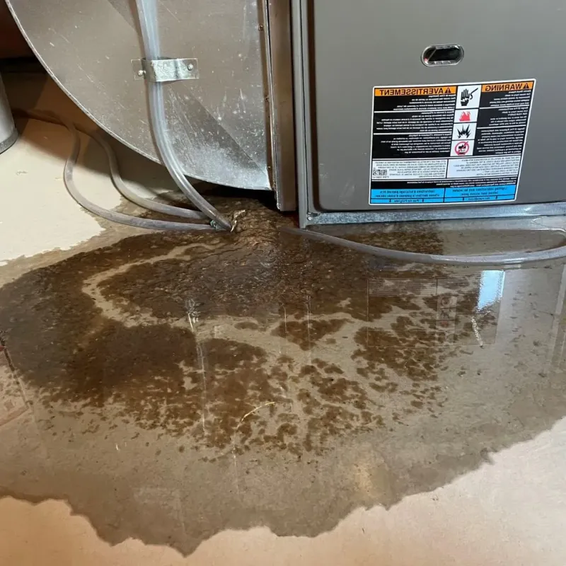 Pipe Burst and Leak Restoration in Robins, IA