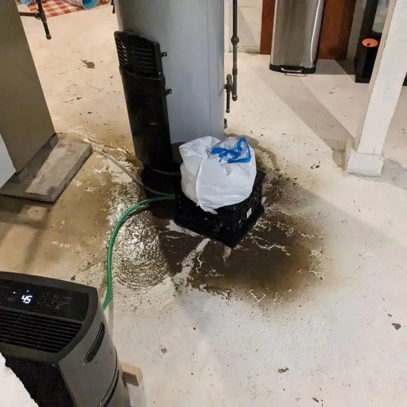 Sewage Backup Cleanup Service in Robins, IA